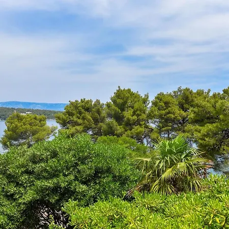 Lazaneo Seafront Apartments, Hvar 아파트 젤사